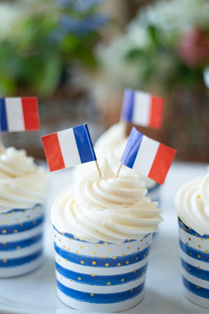 Celebration Picks - French Flag - Pack of 20