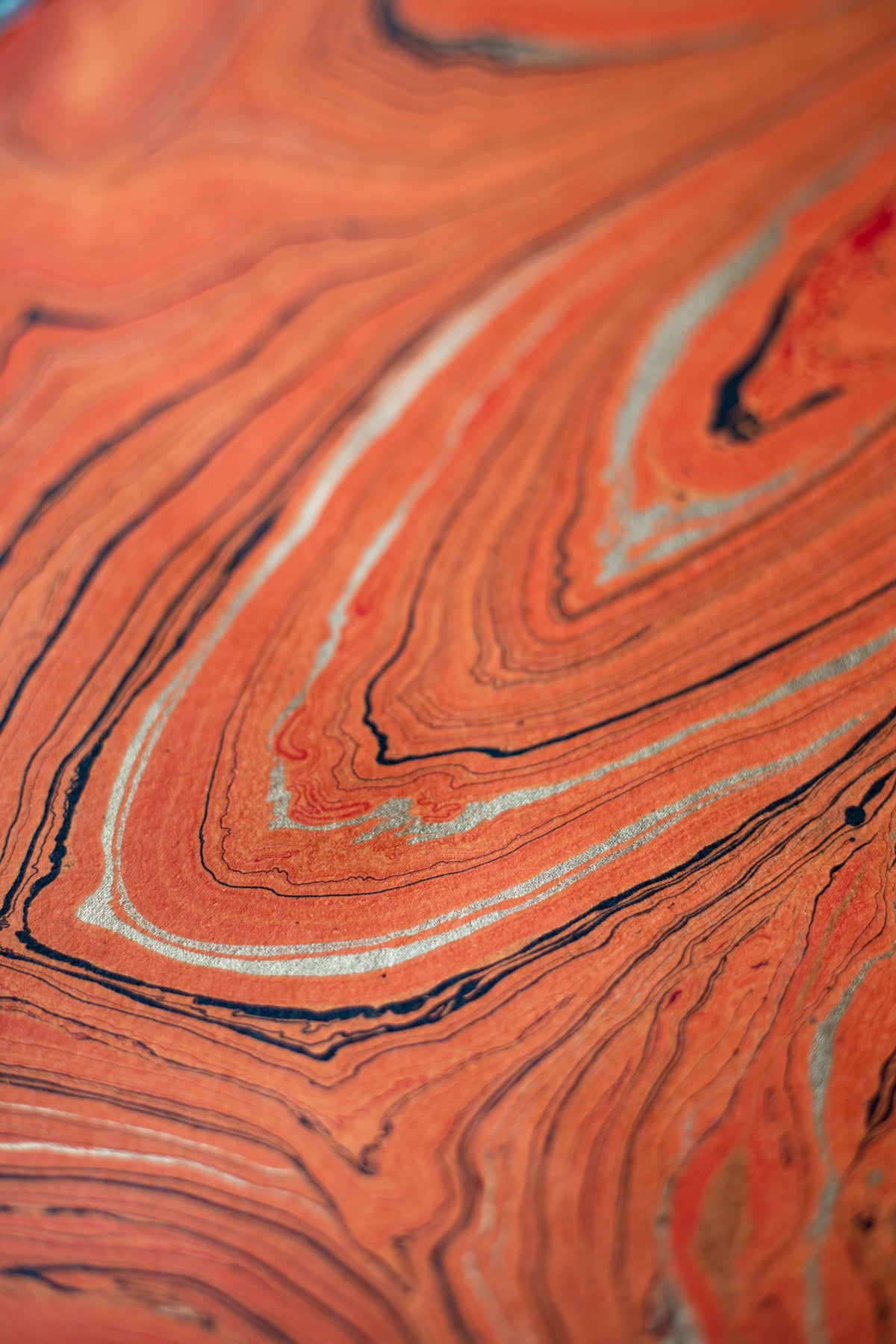 Hand Marbled Gift Wrap Sheets - Woodstock