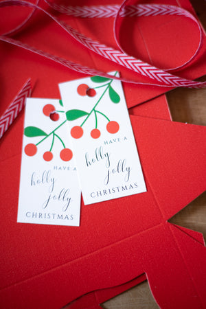 Red Christmas Cookie Box Set of 3 with Dividers