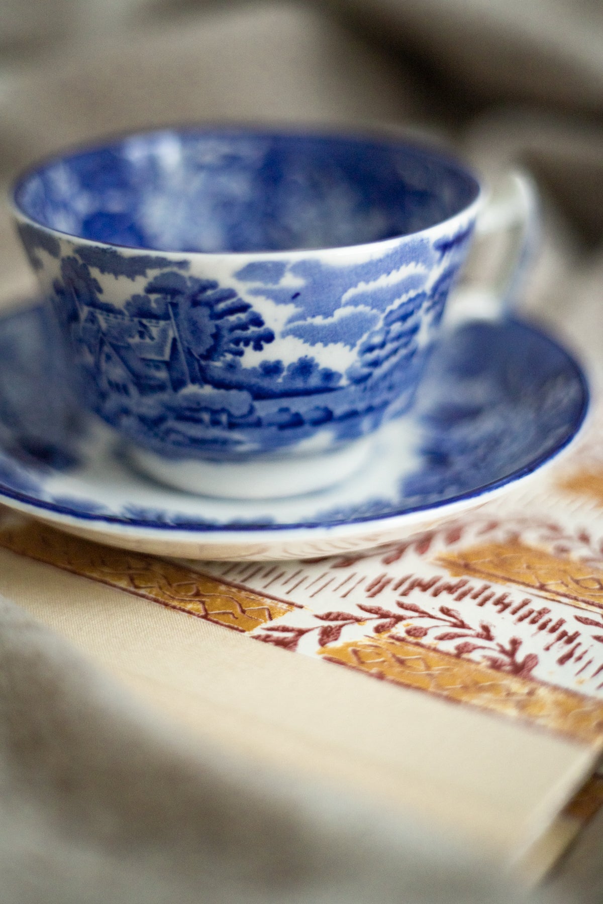Antique Blue Transferware Teacup and Saucer Set