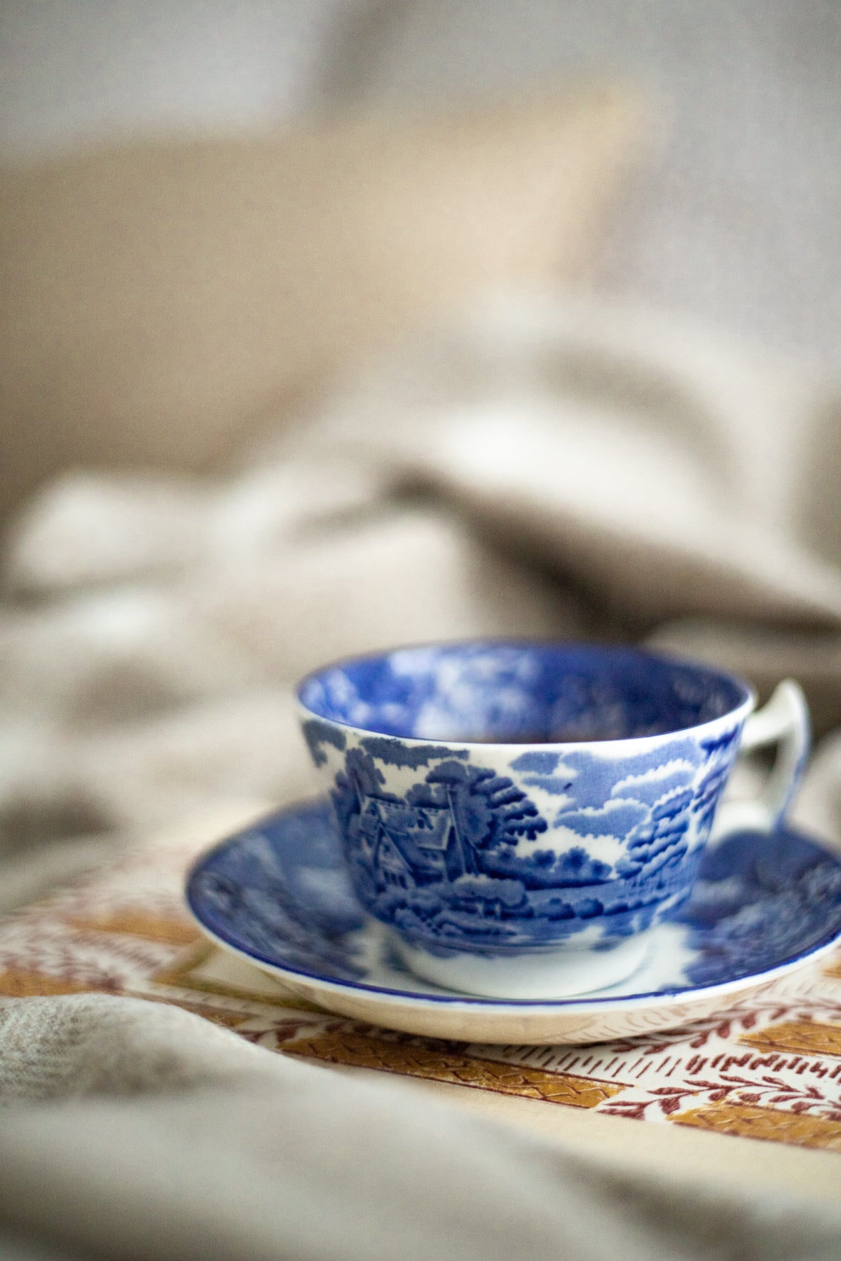 Antique Blue Transferware Teacup and Saucer Set