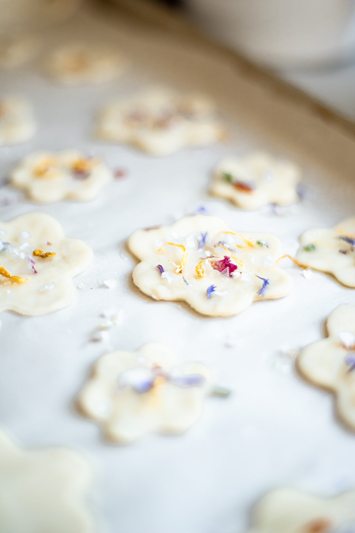 Flower Cookie Cutters - Nesting Set of 6