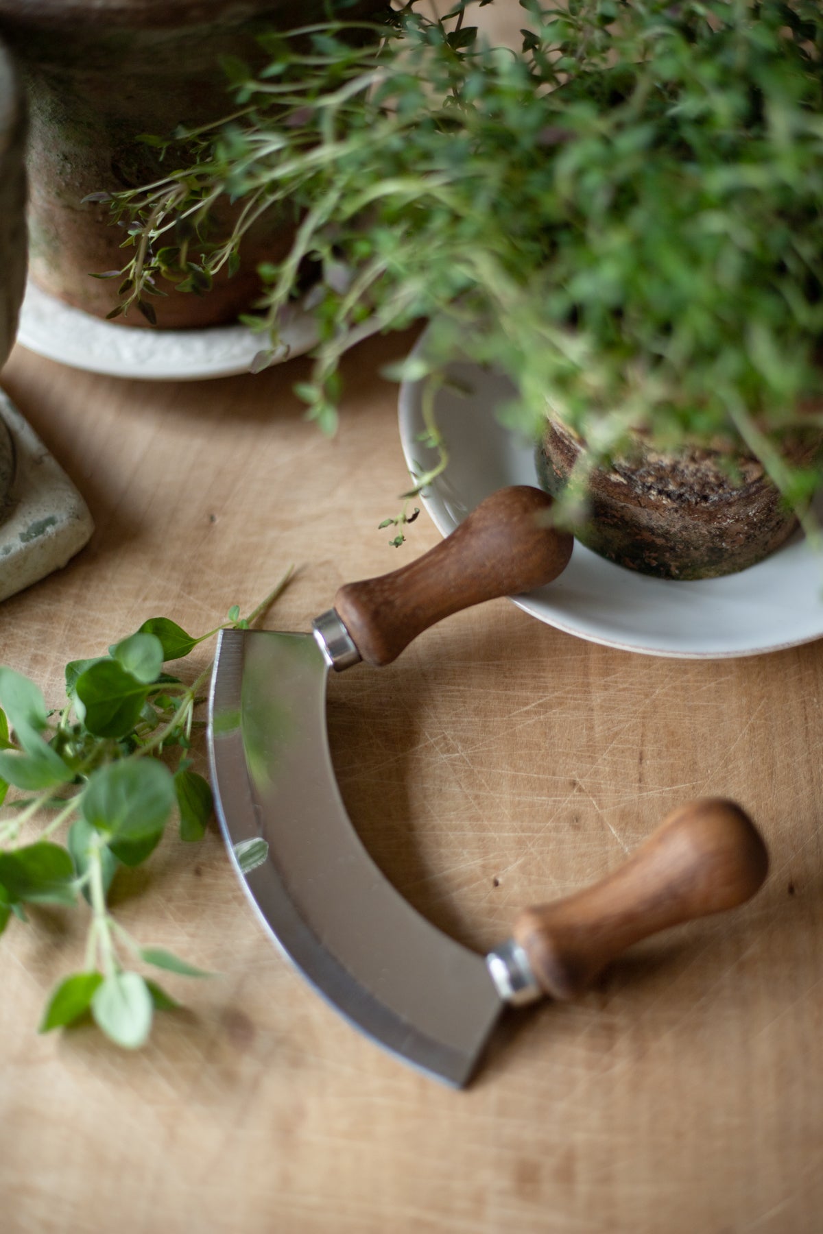 Mezzaluna - Herb Chopper/Pizza Slicer