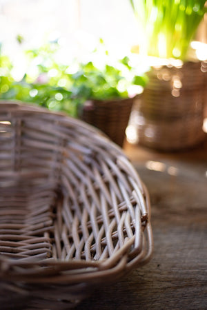 Rattan Gathering Basket