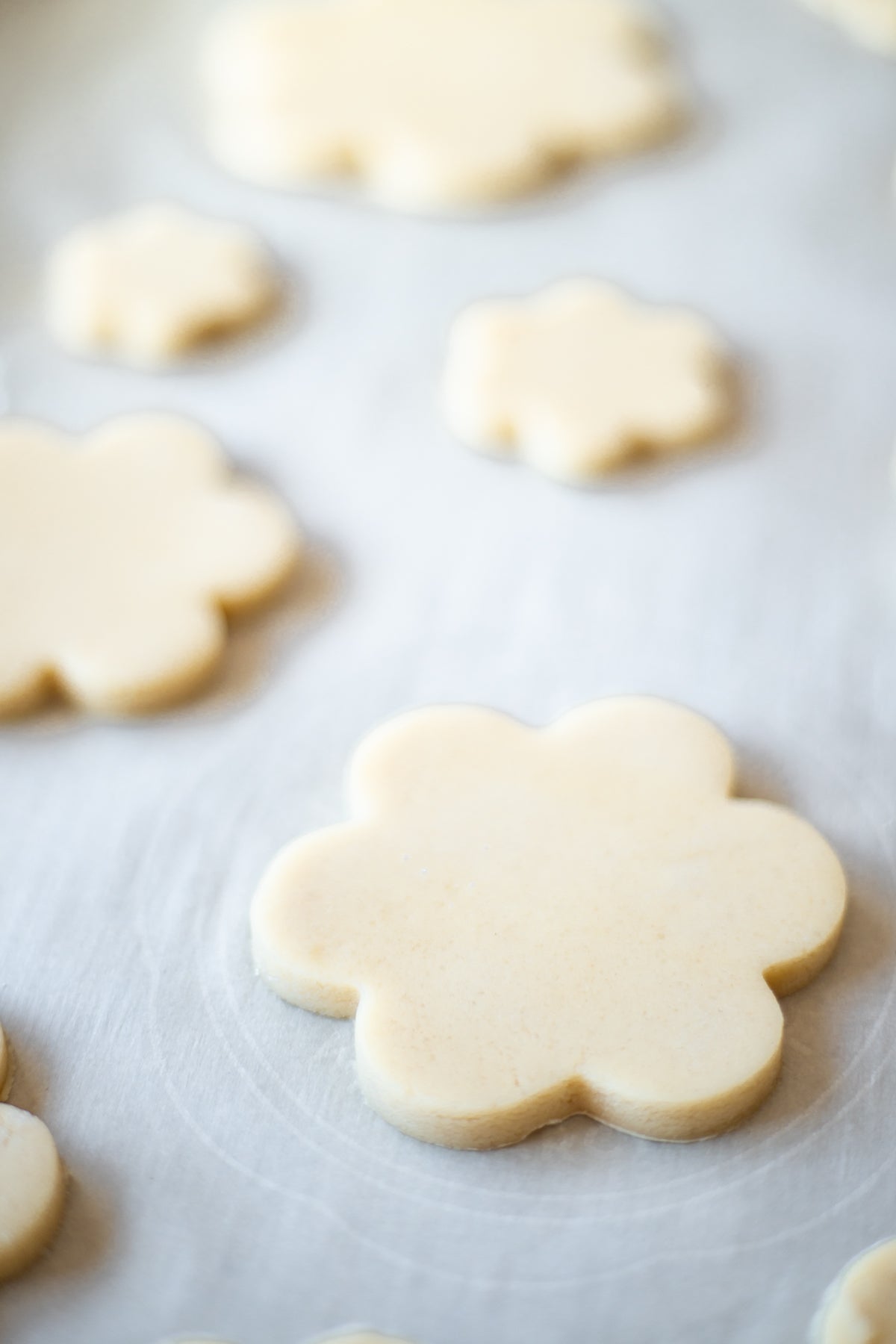Flower Cookie Cutters - Nesting Set of 6