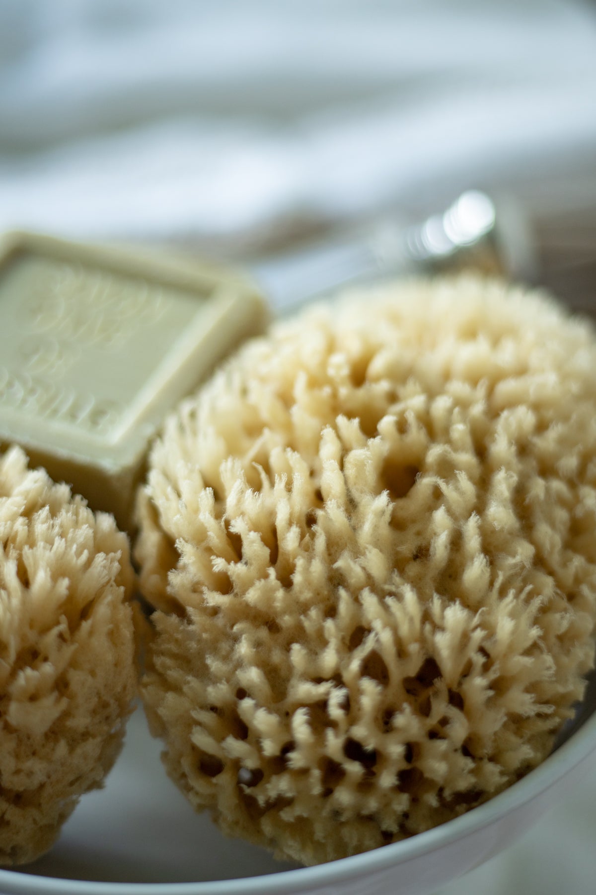 Natural Sea Sponge Set