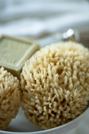 Natural Sea Sponge Set