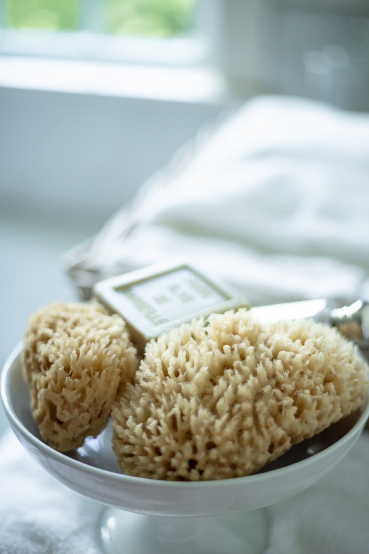 Natural Sea Sponge Set