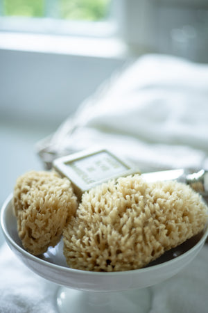 Natural Sea Sponge Set