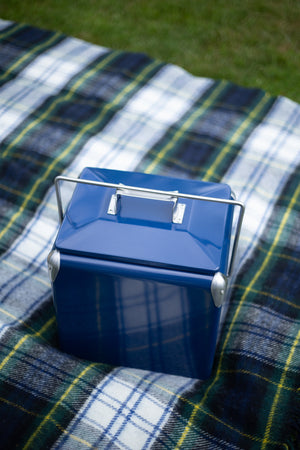 Blue Metal Picnic Cooler