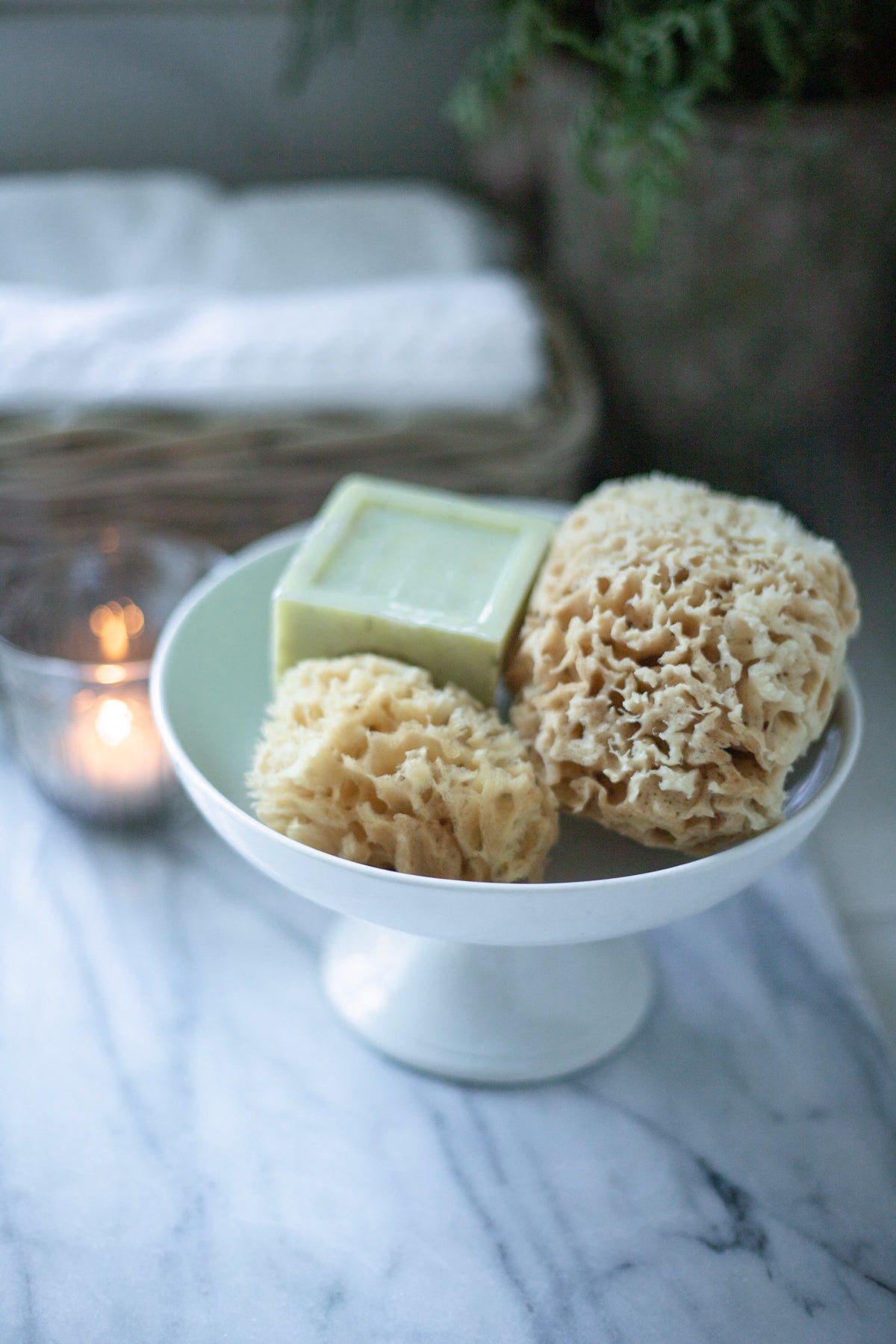 Natural Sea Sponge Set
