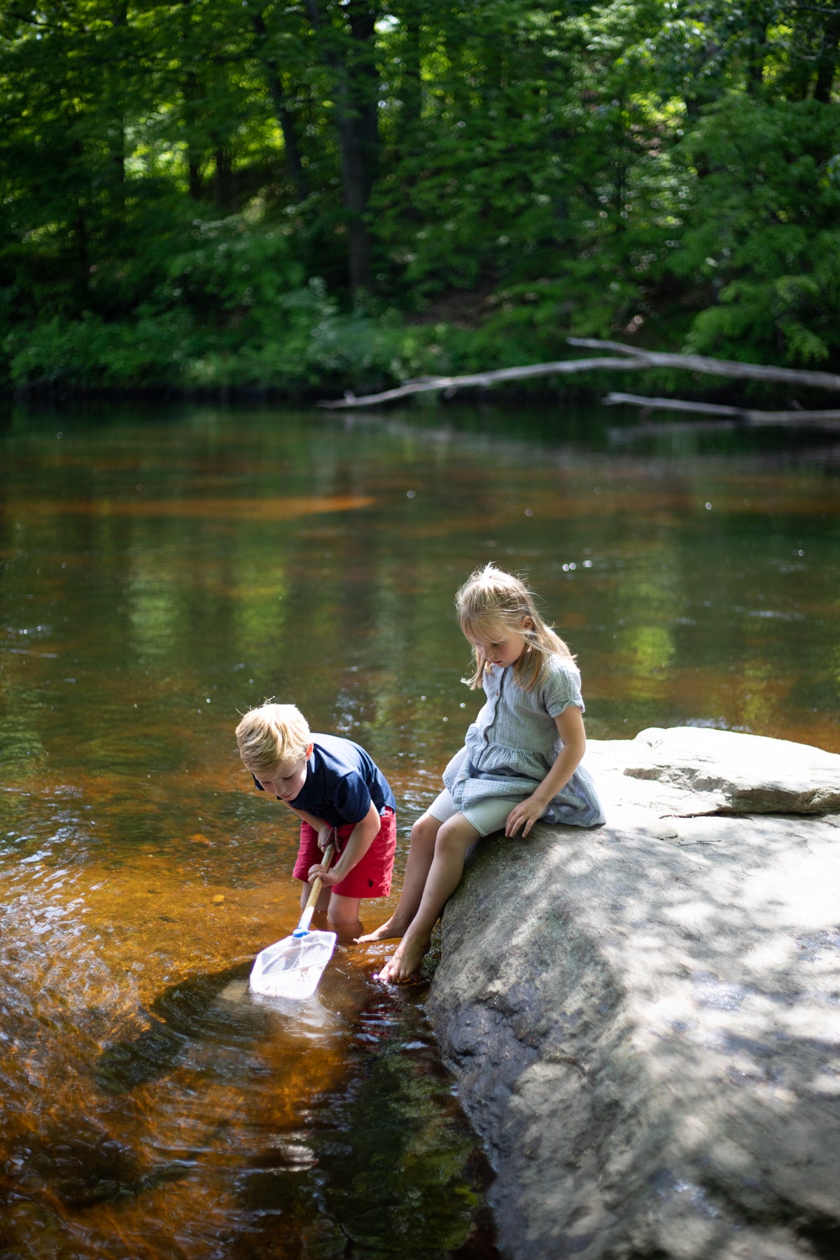 Pond Net