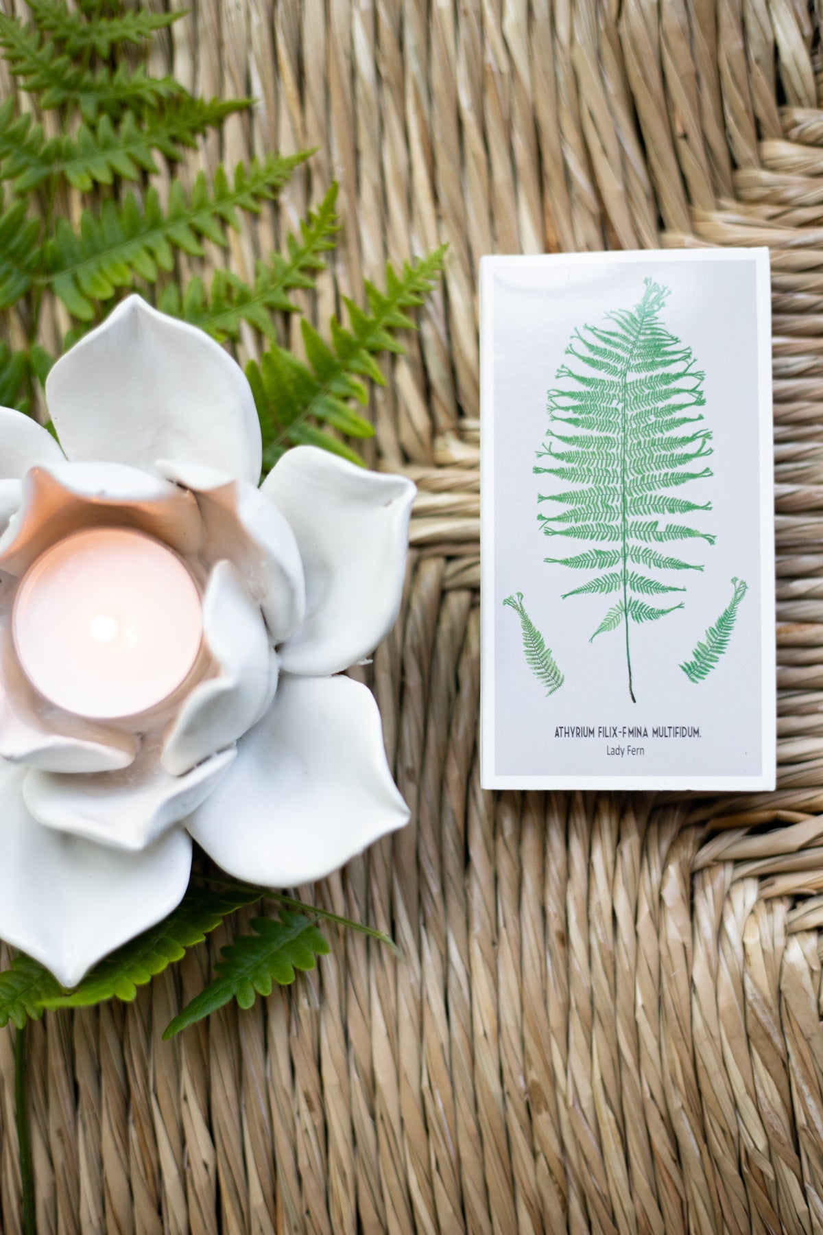 Matches - Ferns - Box of 50