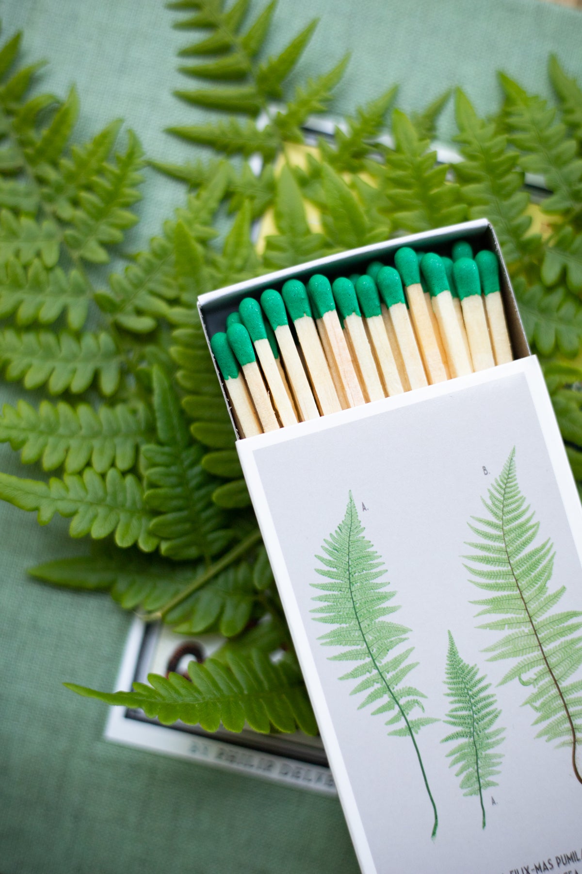 Matches - Ferns - Box of 50
