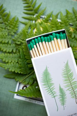 Matches - Ferns - Box of 50