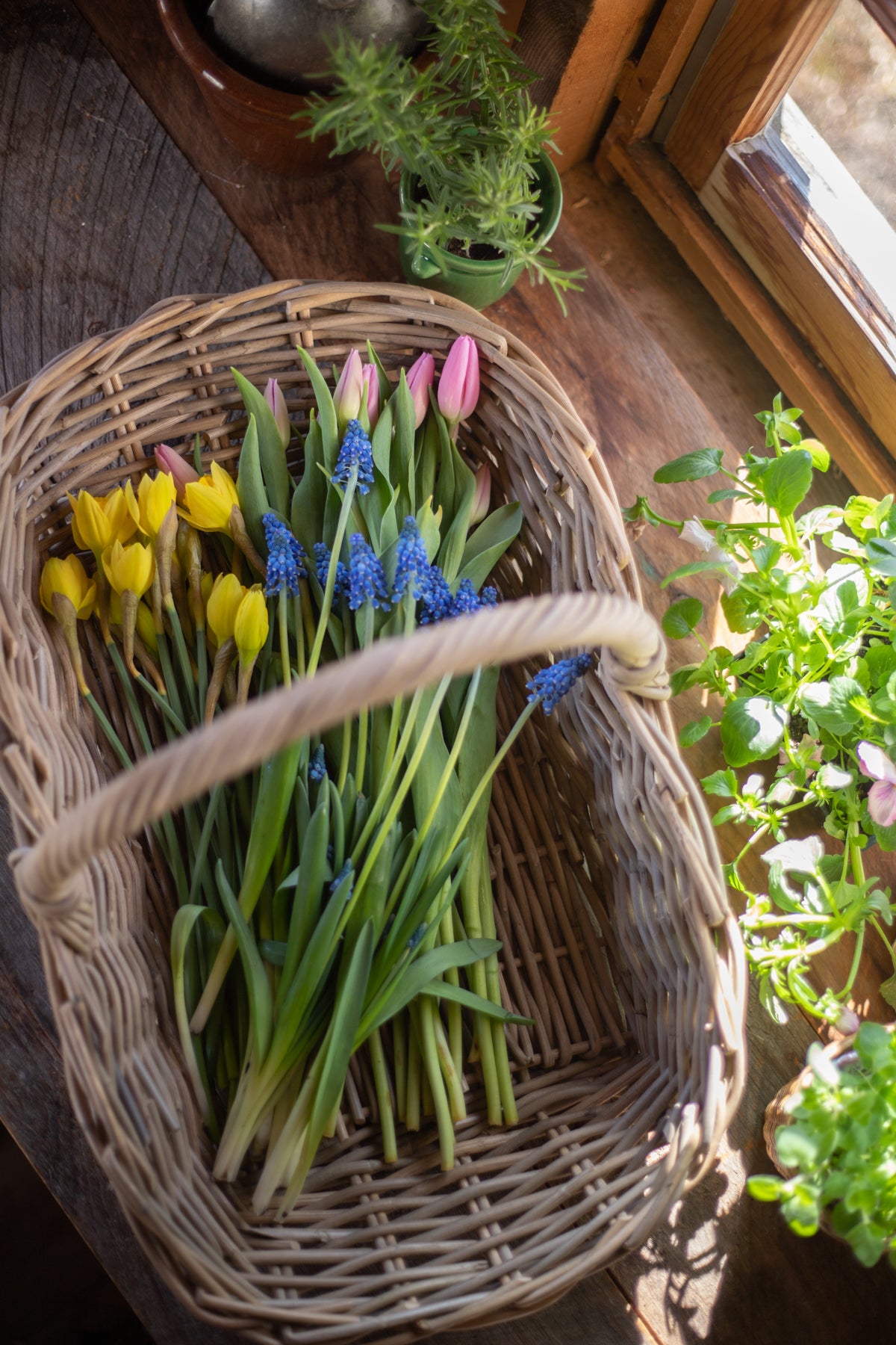 Rattan Gathering Basket