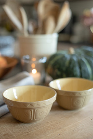 Vintage Prep Bowls - Set of 2