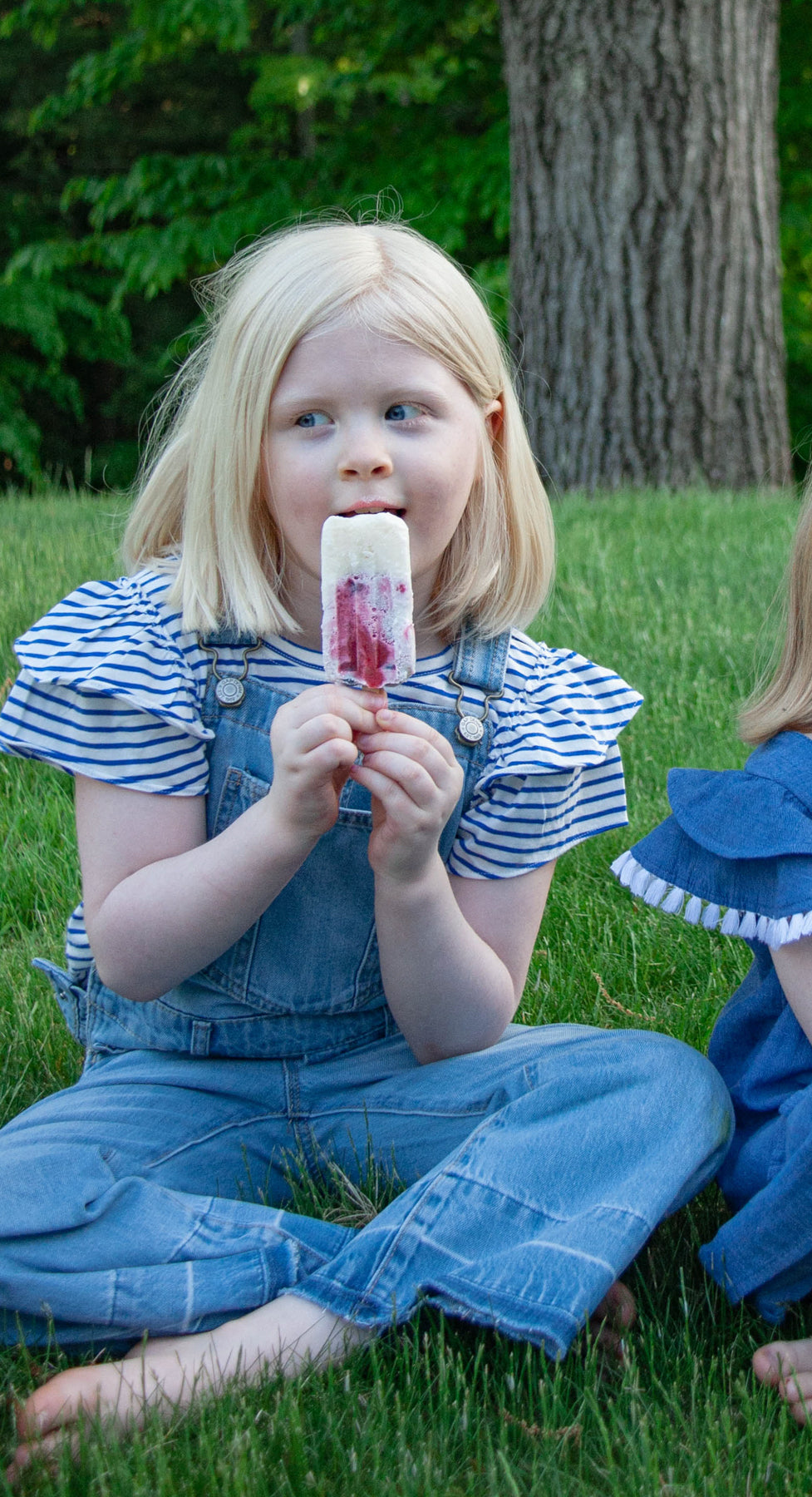 Popsicle Mold with Summer Popsicle Sticks