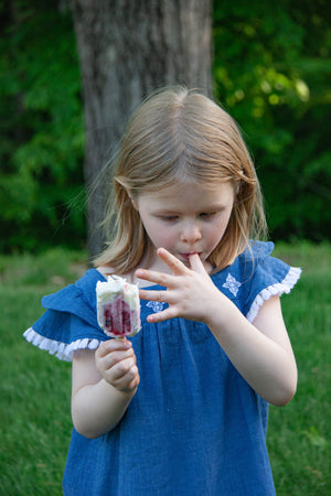 Popsicle Mold with Summer Popsicle Sticks