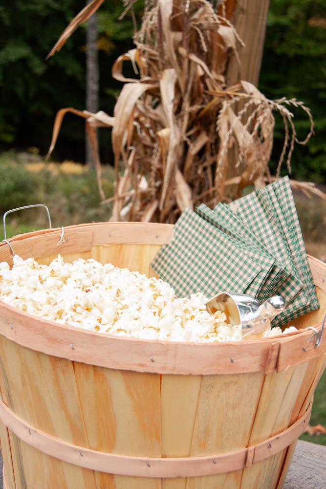 Gingham Popcorn Bags