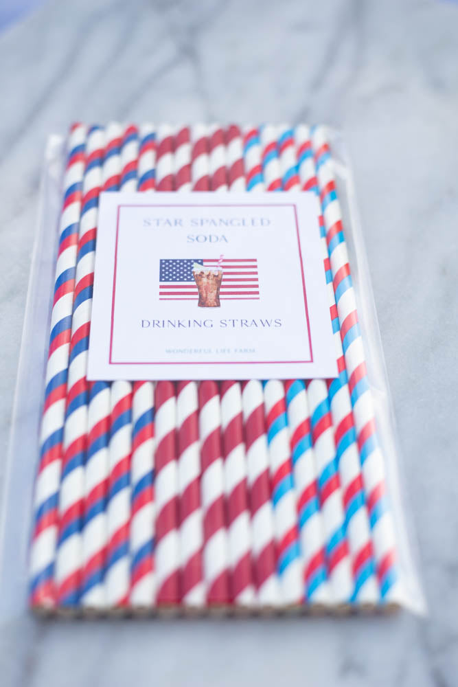 Drinking Straws - Star Spangled Soda - Pack of 15