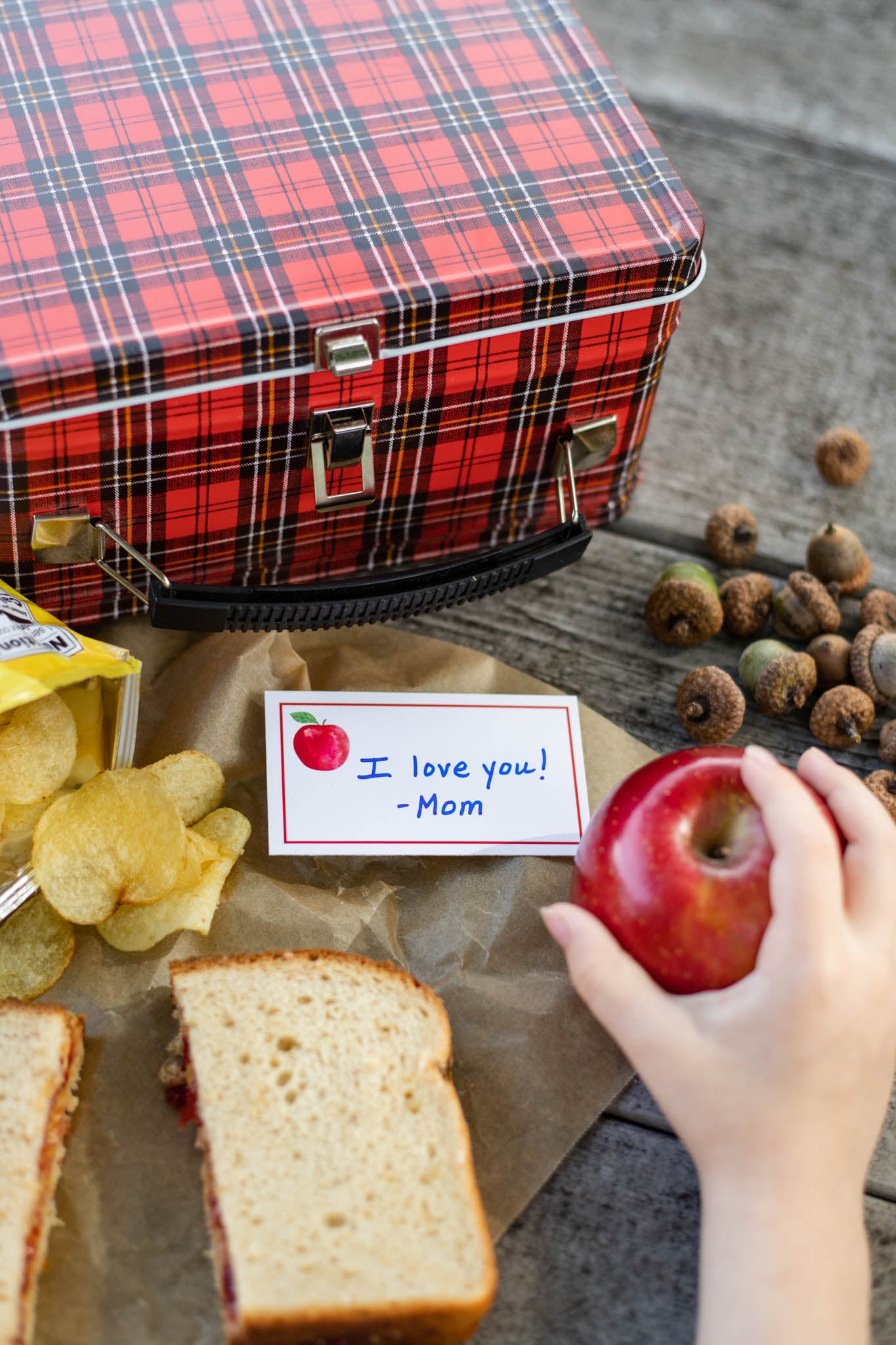 Lunch Box Note Cards