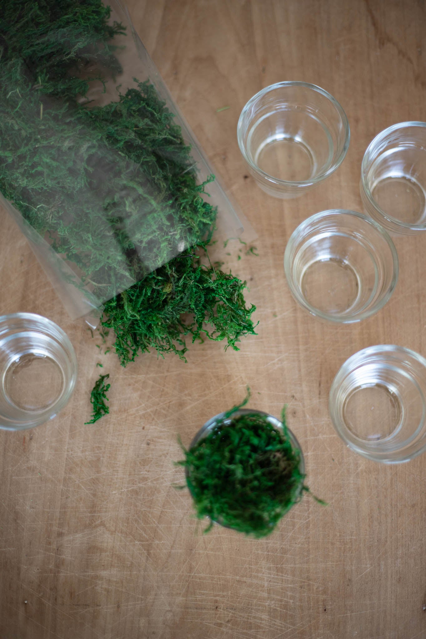 Bag of Moss