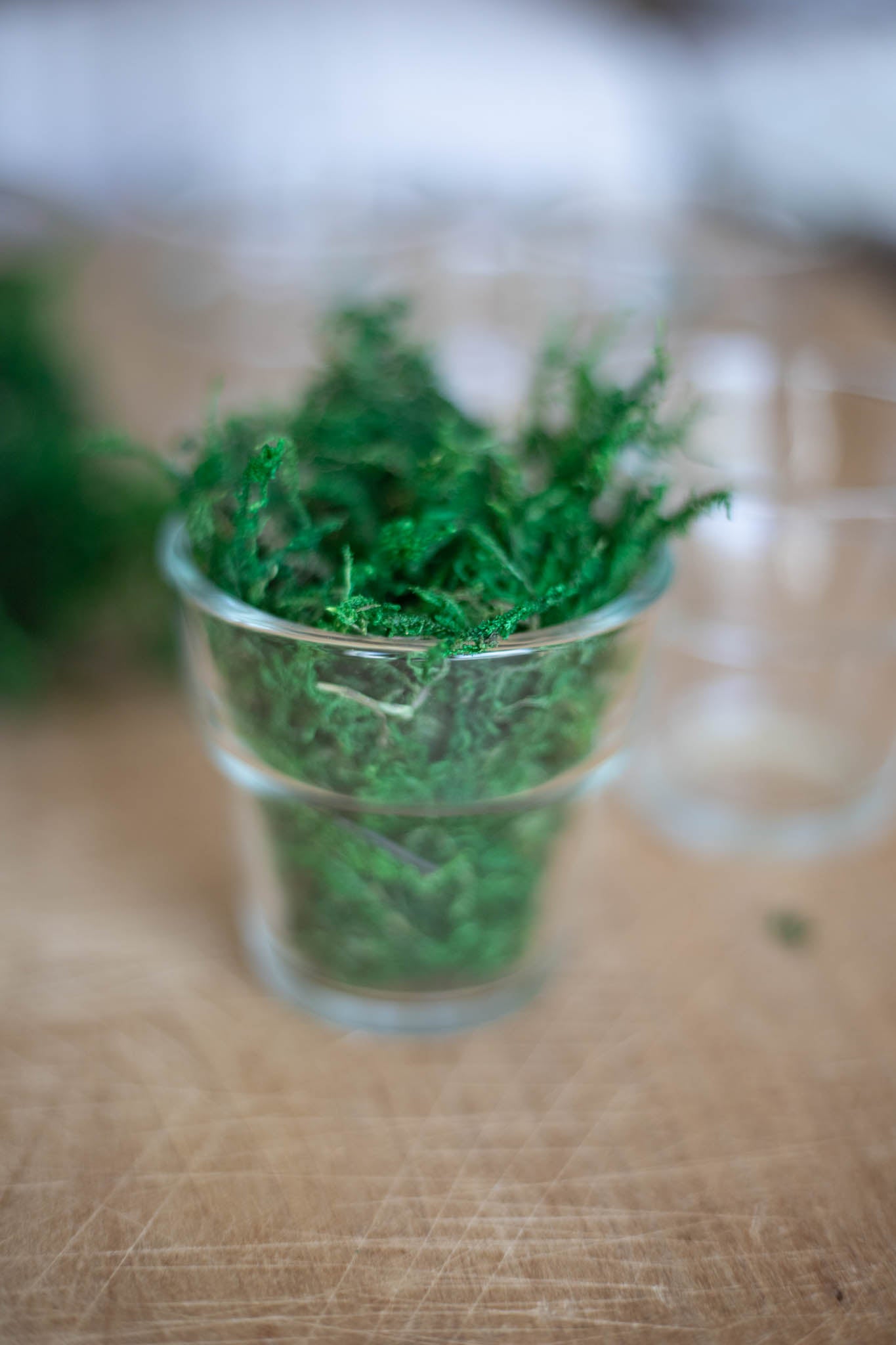 Bag of Moss