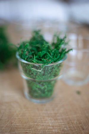 Bag of Moss