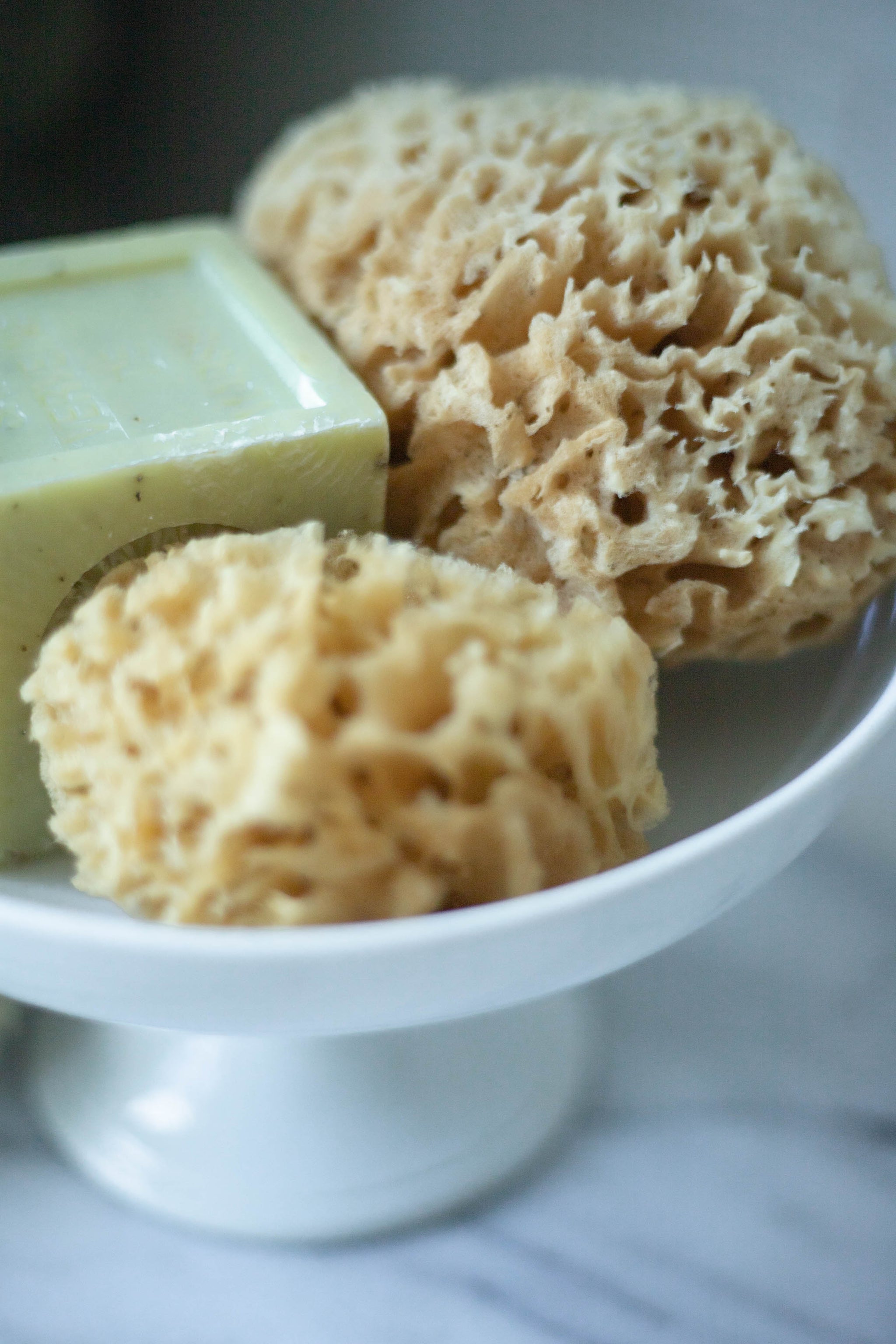 Natural Sea Sponge Set
