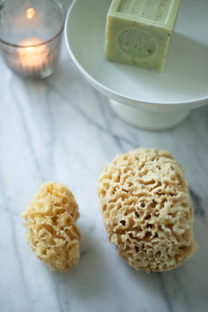 Natural Sea Sponge Set