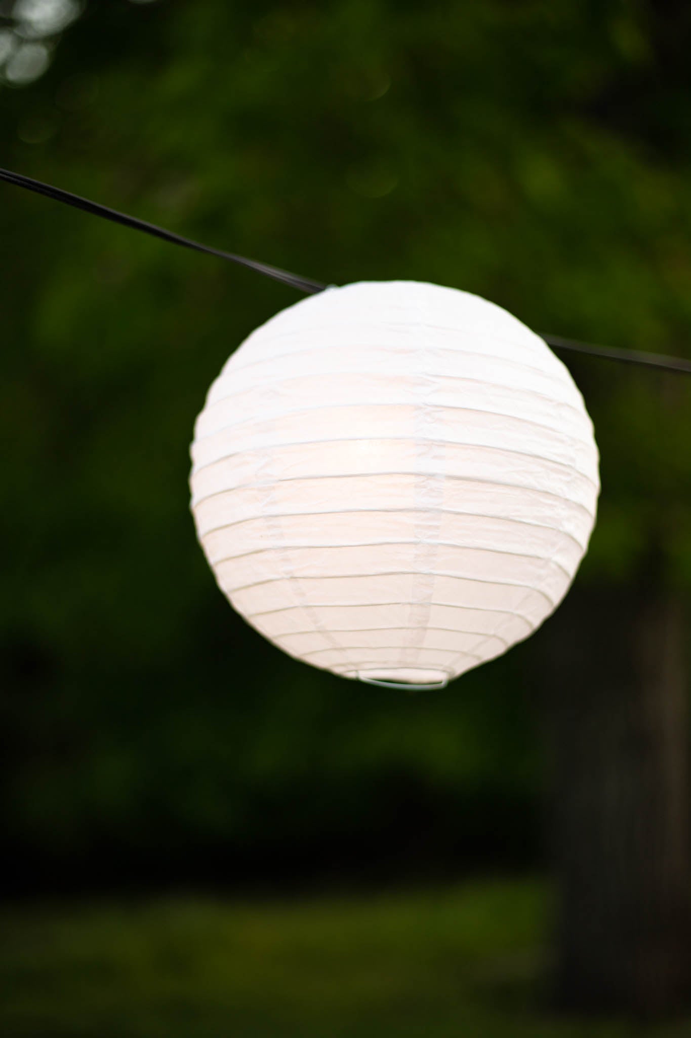 White Paper Lanterns - Set of 3