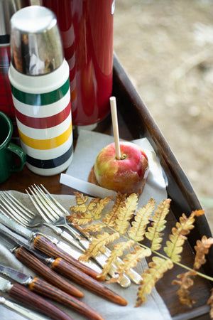 Caramel Apple Sticks