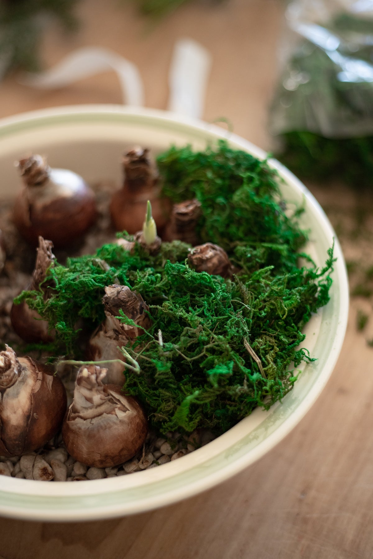 Bag of Moss