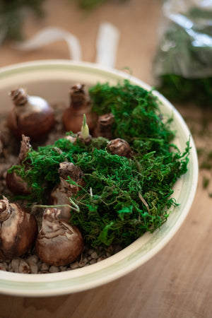 Bag of Moss