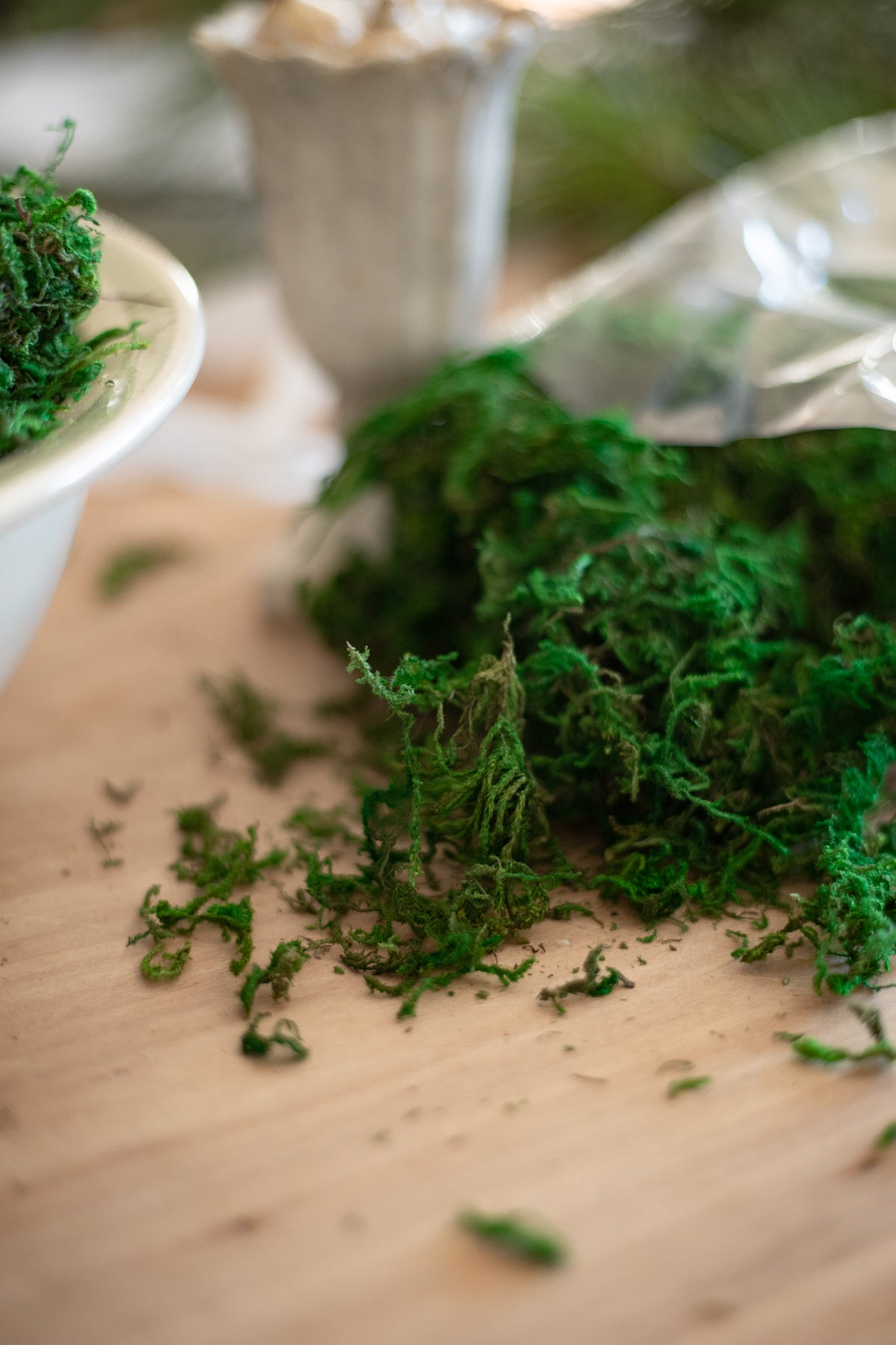 Bag of Moss