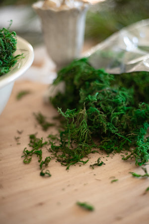 Bag of Moss