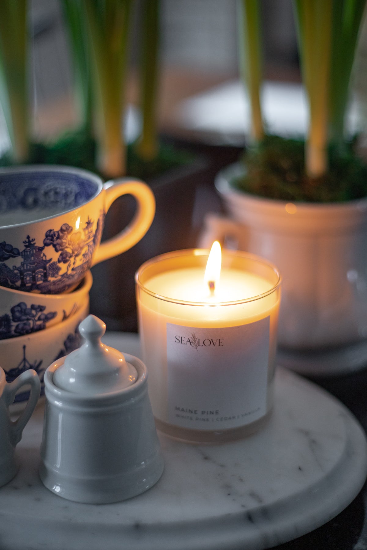 Maine Woods Scented Soy Jar Candle