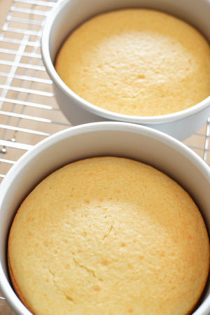 8" Cake Pan with Removable Bottom - Set of 2