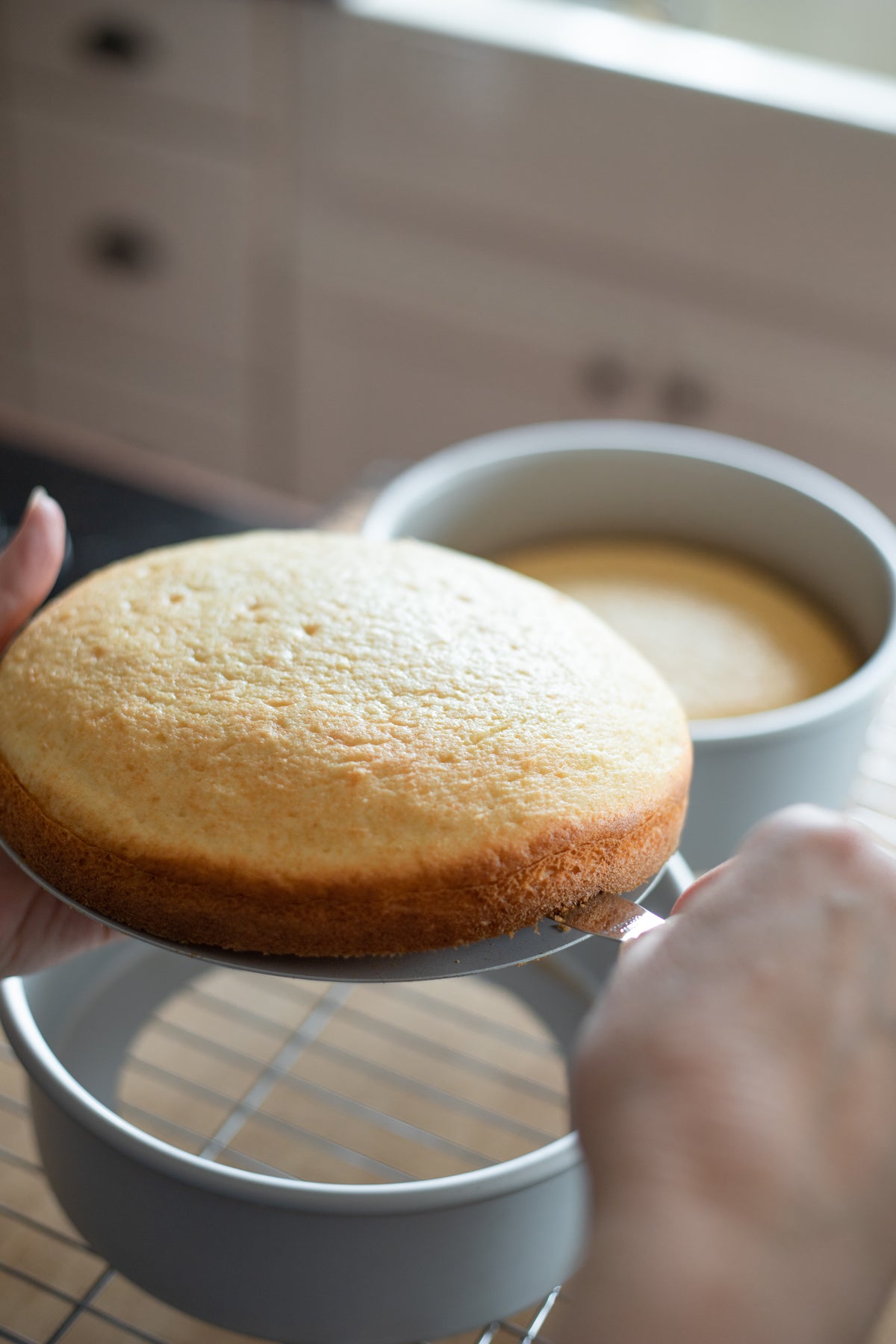 8" Cake Pan with Removable Bottom - Set of 2