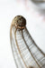 Vintage Brass Wire Cornucopia