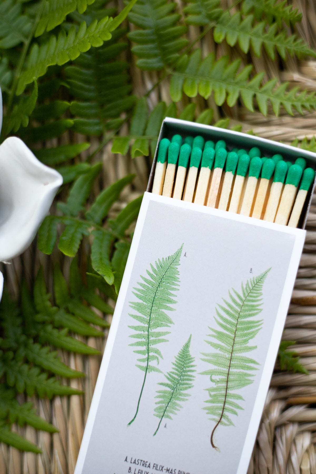 Matches - Ferns - Box of 50