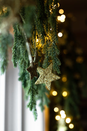 Sparkly Star Garland