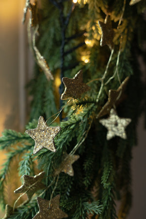 Sparkly Star Garland