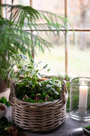 Rattan Lined Planter Basket - Round with Handles - Choose Size