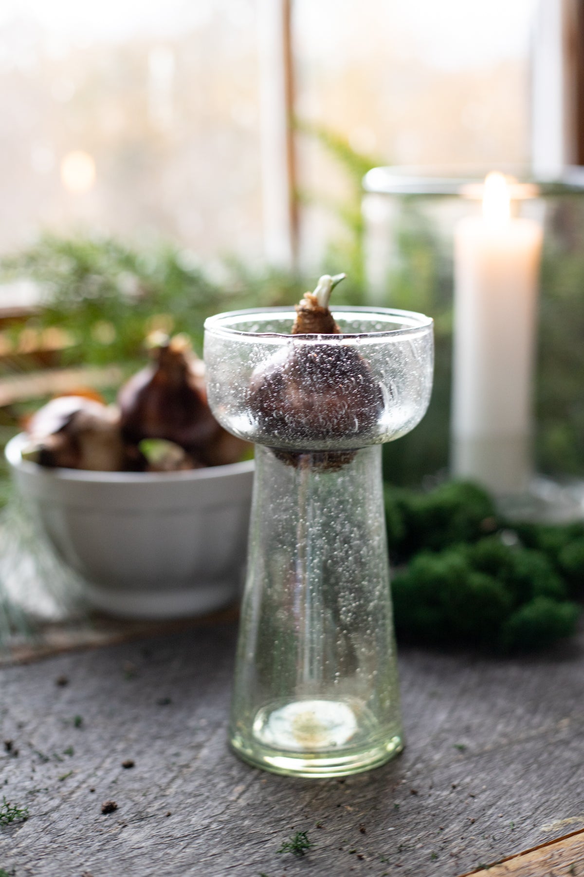 Seeded Glass Bulb Forcing Vase