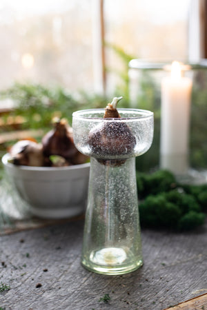 Seeded Glass Bulb Forcing Vase