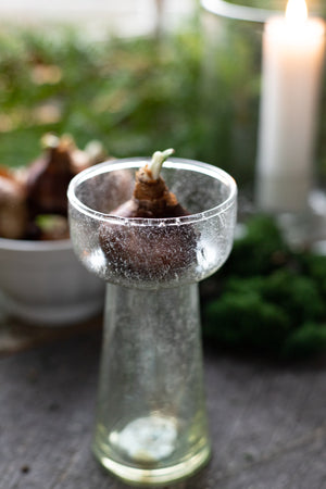 Seeded Glass Bulb Forcing Vase