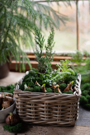 Rattan Lined Planter Basket - Square