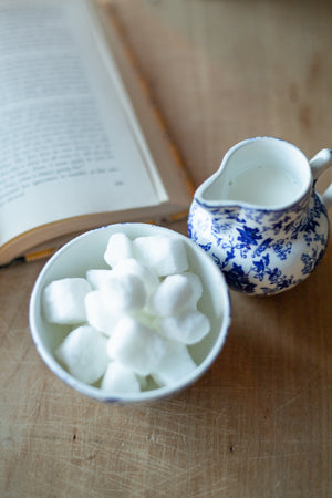 Antique Blue and White Creamer and Sugar Set